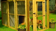 Woliers a kutyák számára (fotók): pet house csináld magad